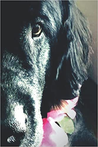 My Dog & Me: Write My Story