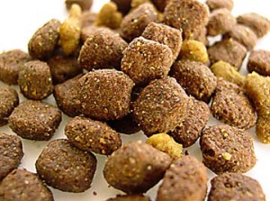 dry dog food