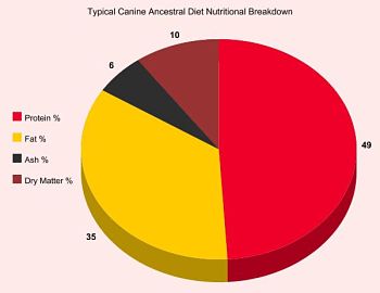 Raw Food Diet For Dogs Chart