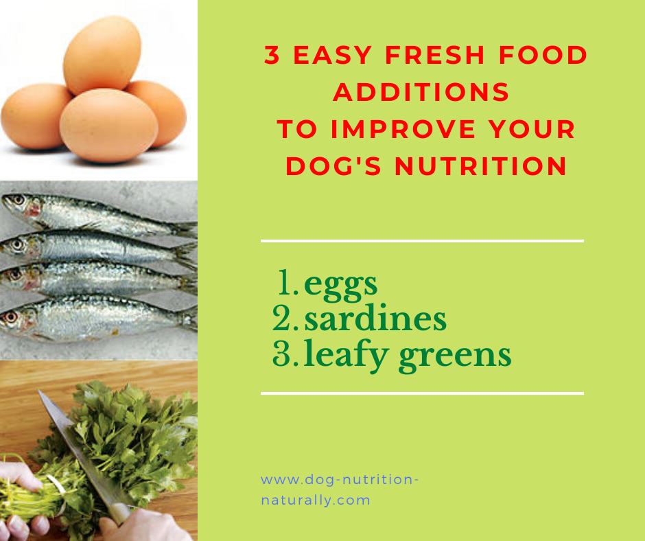 Fresh food toppers for dog food